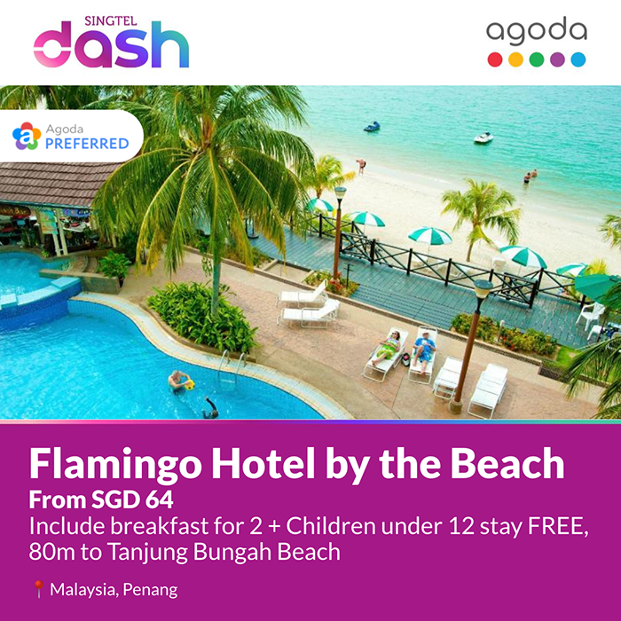 flamingo-hotel-by-the-beach