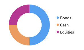 Sample of asset allocation chart within your recommended portfolio